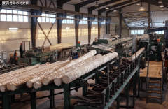 <b>非洲木材行业承压：产量受限中国进口量骤降单</b>